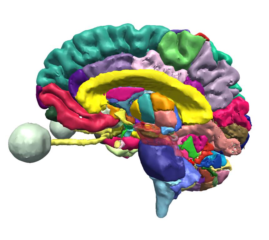 SPL/NAC Brain Atlas